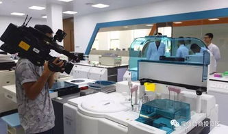 驚艷登場！泉州版迪士尼即將亮相，預計最快2019年開放，未來片區(qū)聚焦針紡織品銷售